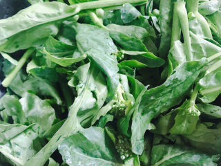 2、蚝油芥兰,芥兰洗干净沥水