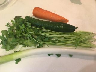 6、中式鸡肉沙拉,京葱、香菜、黄瓜、红萝卜