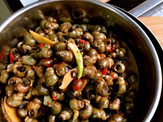 3、唆螺！,剩一半水的时候放点生抽老抽，调味。自己尝尝汤看是否合自己口味，再调整！记着：成品出来要有的汤汁噢！别烧干了！