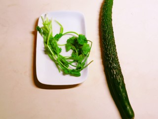1、凉拌黄瓜卷,黄瓜和香菜 清洗干净备用