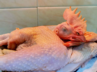 1、黄焖冬笋鸡,半只鸡