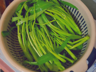 4、蒜蓉空心菜,最后洗干净沥干备用