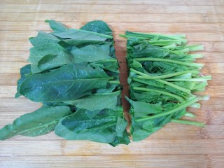 1、凉拌菠菜粉丝,菠菜清洗干净切成两段。