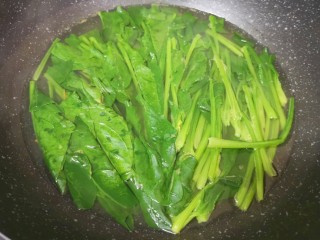 6、凉拌菠菜粉丝,水里加一点点食用油烧开，下入菠菜焯水一分钟关火。