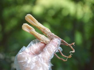 13、糟卤鸭舌,配点美酒，绝对是下酒小菜必备