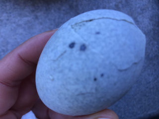 7、尖椒皮蛋,轻轻敲碎外壳。