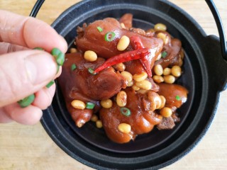 12、黄豆焖猪蹄,出锅装盘，撒上点葱花。