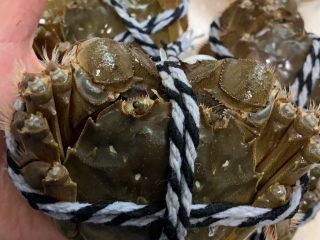 2、清蒸阳澄湖大闸蟹,保持大闸蟹的绑好绳子的样子，用水冲洗干净即可直接蒸煮，阳澄湖大闸蟹又名金爪蟹，蟹身不沾泥，俗称清水大闸蟹。