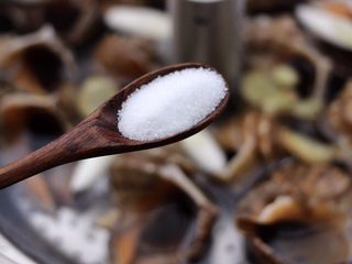 4、温拌海螺,再加入适量的盐。