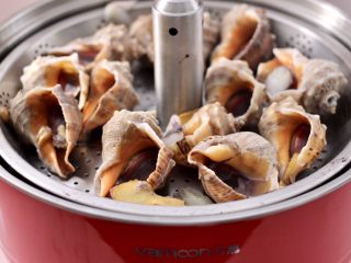 6、温拌海螺,鲜美无比的海螺出锅咯。