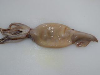 2、香酥辣鱿鱼,鱿鱼洗净