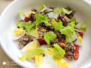 12、藜麦生菜沙拉,再加入少许生抽叶子。