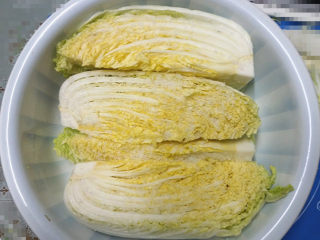 5、自制泡菜,放至面盆中，腌制12小时以上，中途需上下翻面