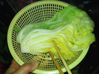 9、自制泡菜,焯到白菜变软，颜色略变深后，立即捞出