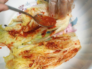 12、自制泡菜,每一片白菜上都要抹在辣酱