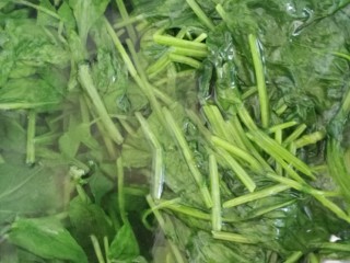 2、爽囗凉菜菠菜花生米,把菠菜捞出后马上放凉水里过下凉，一定凉透。