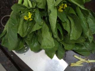 1、白灼广东菜心,第一步，菜心洗干净，摘掉老的叶子，去掉根尾部，姜丝切好。