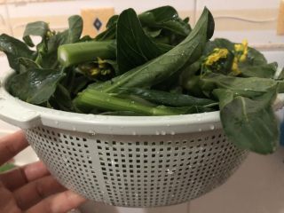 4、清炒菜心,捞起沥一下水