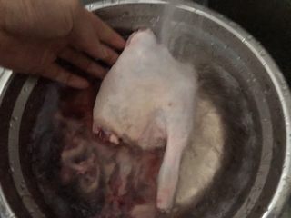 6、萝卜炖鸭肉,鸭肉 清洗一下