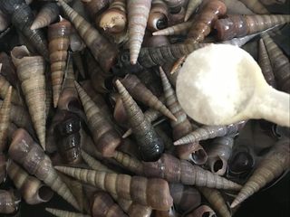 1、辣炒钉螺：海边男人最爱的下酒菜,钉螺洗净放入锅内加水加盐，煮2分钟