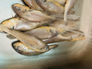 1、清蒸小黄鱼,小黄鱼先用水洗净；