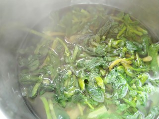 5、蒜泥万年青,倒入沥干水份的万年青,烫至一分钟捞出,过凉水。