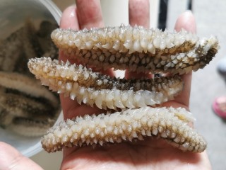 2、冬菇炖鲍参【滋补气血,润肺养颜】,搞干净,泡发的肥肥胖胖。