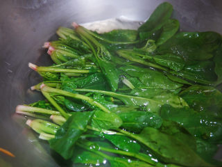 8、炒合菜,菠菜焯水去掉多余草酸，过冷水