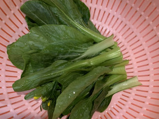 4、番茄浓汤面,菜心洗干净