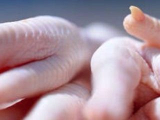 1、天生吃货秘制凤爪,清洗:即使鸡爪子看着挺干净,也要认真清洗一遍,尤其是指头中间的部位。