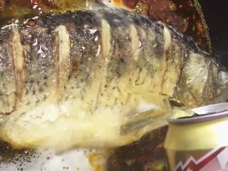 6、啤酒鲤鱼,放鲤鱼倒入两罐啤酒加一点水