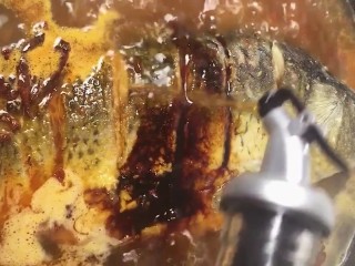 7、啤酒鲤鱼,再加盐，生抽，老抽料酒烧十五分钟