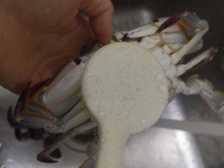 11、葱油蒸蟹,用刷子刷净两面