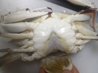 13、葱油蒸蟹,蟹肚下面的山角盖去掉