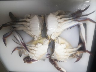 14、葱油蒸蟹,把蟹一分为二