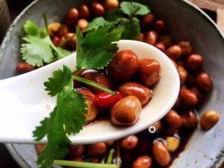 17、醋泡花生米,诱人吧，老香呢……