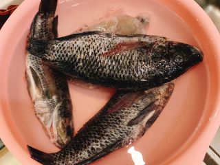1、瘦肉豆腐鲫鱼汤,鲫鱼洗干净待用