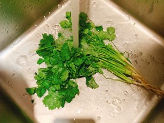 3、瘦肉豆腐鲫鱼汤,香菜洗干净待用
