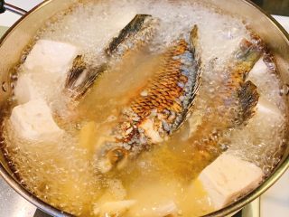 6、瘦肉豆腐鲫鱼汤,煎好的鱼放入煮好的汤里，再放入豆腐，煮开后盖上锅盖小火慢炖20分钟