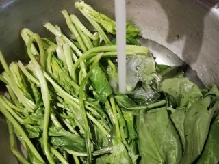 2、蛋香鸡肉菠菜糕,菠菜择去老叶  清洗干净
