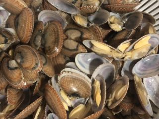 6、彩椒炒花甲,捞起的花甲清水洗净浮沫，沥干水分备用