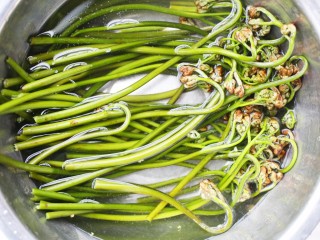 2、鲜嫩可口的凉拌蕨菜,蕨菜去掉老的硬茎，清洗干净。