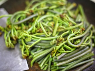 5、鲜嫩可口的凉拌蕨菜,切断。