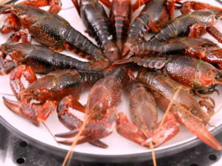 2、快手小龙虾,看着世界杯,喝着凉爽的啤酒,配着鲜美的龙虾,摆盘入蒸锅，沸水蒸10分钟 