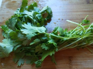 5、香辣白萝卜丝,香菜洗干净切成段。