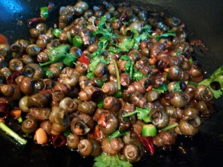 12、下酒菜【酱爆螺蛳】,待汤汁收的差不多时,加点鸡粉,香菜段,翻炒几下就可以出锅了,