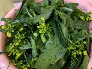 1、高汤简易版炒芥兰,芥兰洗干净沥干