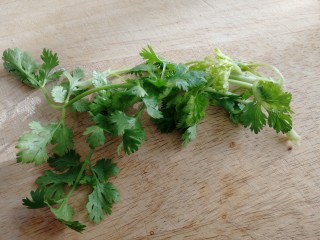 10、黄瓜拌猪耳朵,适量香菜洗净。