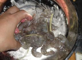 3、出水芙蓉虾仁,虾仁里加少量盐、料酒、生粉、姜丝抓腌十分钟