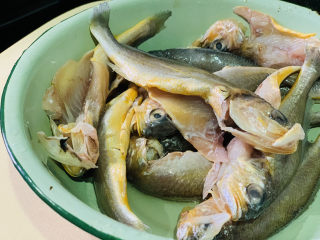 2、红烧小黄鱼,将小黄鱼洗净，内脏也挖干净，特别注意黑膜和鱼鳃要清洗干净；